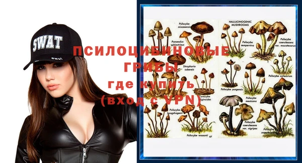 амфетамин Алексеевка