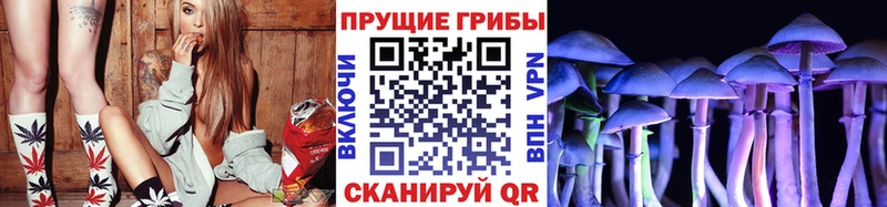 mega ТОР  где найти   Воткинск  Галлюциногенные грибы прущие грибы 